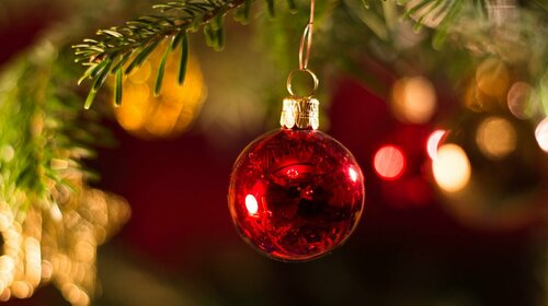 Vente des sapins de Noël par le Sou des écoles du RPI